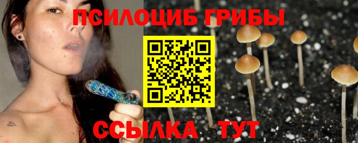 Галлюциногенные грибы MAGIC MUSHROOMS  Вход с VPN  Менделеевск 